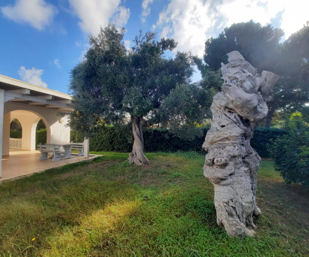 giardino Rosa Marina zona arcate puglia