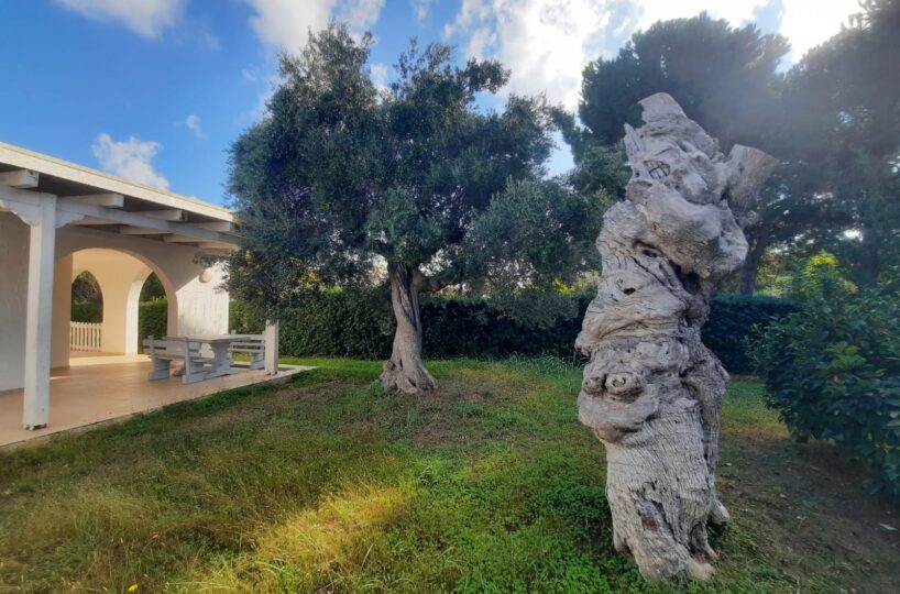 giardino Rosa Marina zona arcate puglia