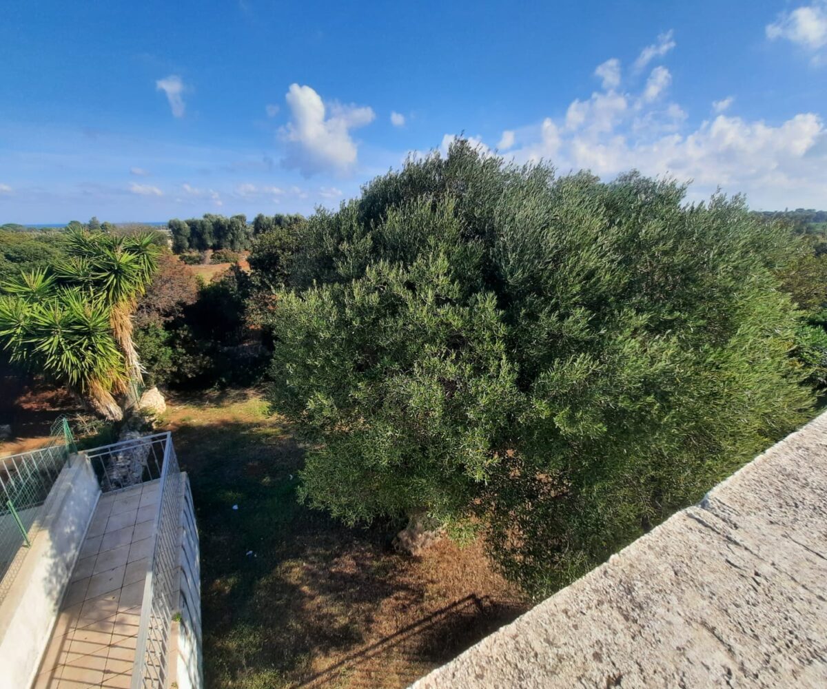 giardino Rosa Marina zona arcate puglia