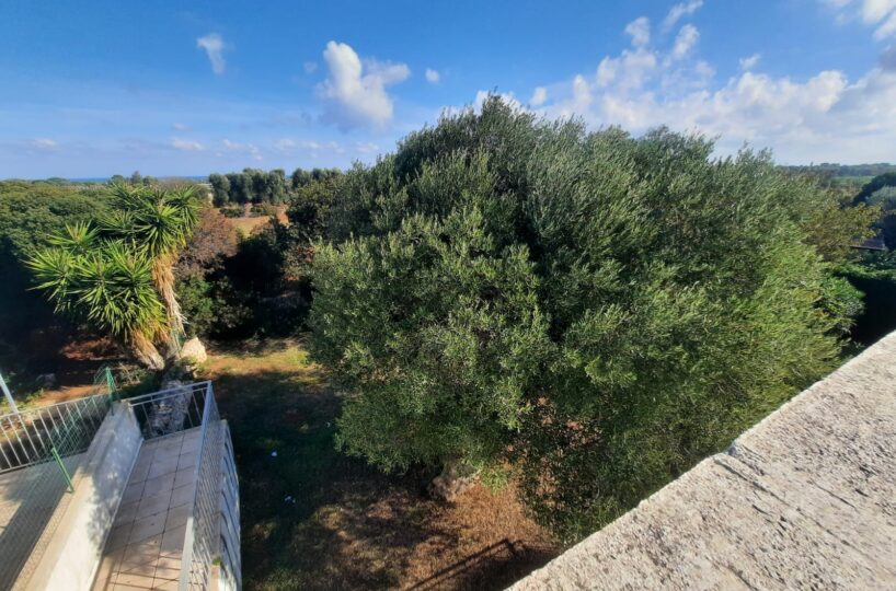 giardino Rosa Marina zona arcate puglia