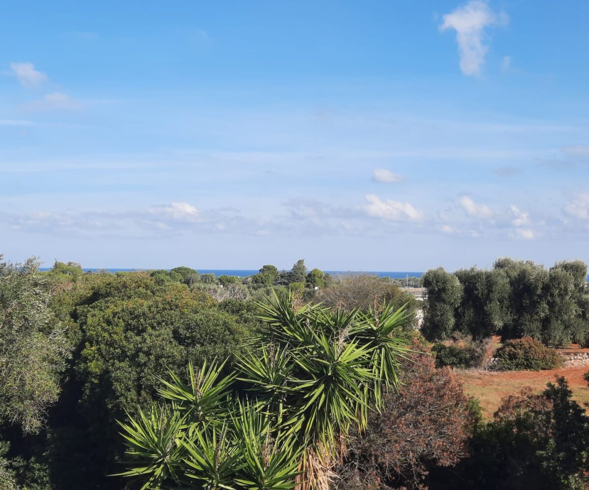 giardino Rosa Marina zona arcate puglia