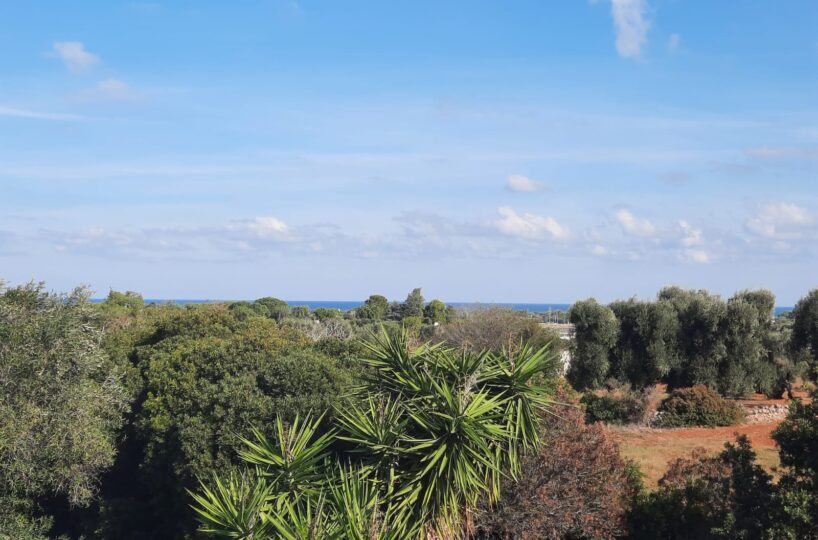 giardino Rosa Marina zona arcate puglia